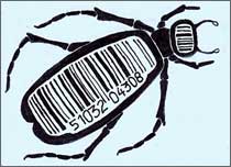 Bar Code Beetle