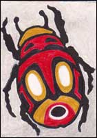 Red Mask Beetle