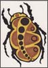 Little Brown Bug#2 by Tyler Hannigan