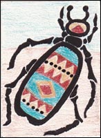 Indian Blanket Beetle by Tyler Hannigan