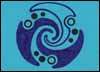 Spiral Force Study