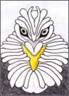 Eagel Eyes