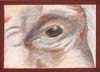 Eye of the Monk by Tyler Hannigan