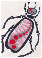 Beetle 101