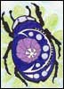 Blue Moon Beetle