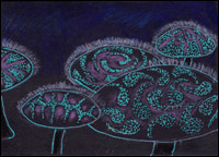 Night Shades