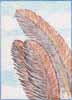 Feathers Three
