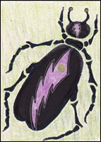 Super Hero Bug
