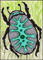 New Years Beetle by Tyler Hannigan