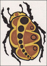 Just A Beetle