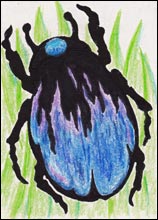 Flaming Blue Beetle by Tyler Hannigan