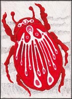 Red Feather Beetle by Tyler Hannigan