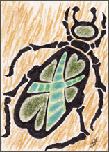 Cross My Heart Bug
