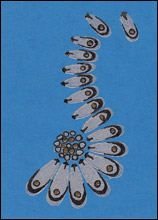 Forget Me, Forget Me Not