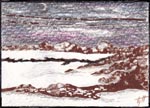 Winter Night