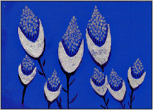 Nite Blossom