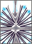 Open Arrow #5