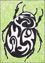 Beetle
