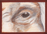 Eye of the Monk by Tyler Hannigan