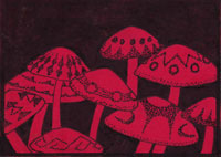 Magic Mushroom