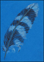 Just A Feather by Tyler Hannigan