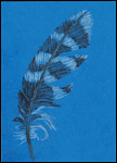 Just A Feather by Tyler Hannigan