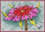 Wild, Wild Flower-3