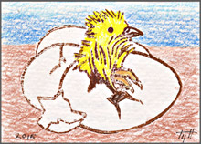 Hatchling